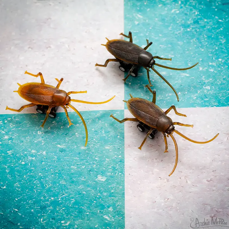 Acc Racing Roach-Inspired Collectible Figurines 1