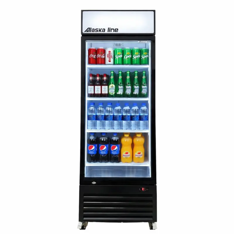 Alaska-Line Hit-804 Single-Door Glass Cooler – 27.5", 23 Cu. Ft. 1