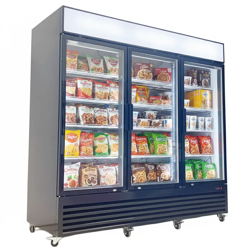 Alaska-Line Hit-807 Three-Door Glass Front Freezer – 78", 54 Cu. Ft. 1