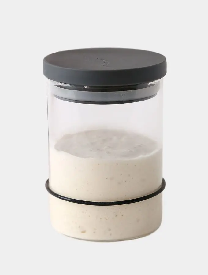 Breadtopia Glass Sourdough Starter Jar With Lid 1