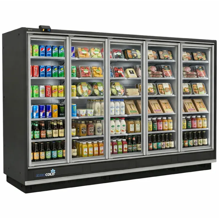 Eurocold 154-Inch Five-Glass-Door Remote Cooler – Gdcdr-90-5D 1