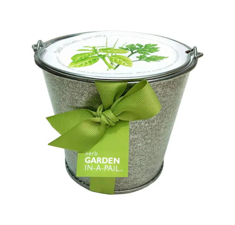 Herb Garden Kit In A Decorative Pail – Potting Shed Creations (Top Seller) 1
