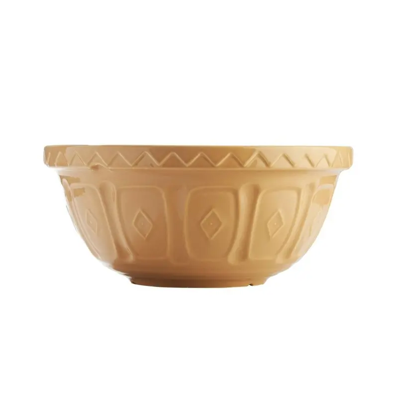 Mason Cash 11.5-Inch Ceramic Mixing Bowl By Typhoon Homewares 1
