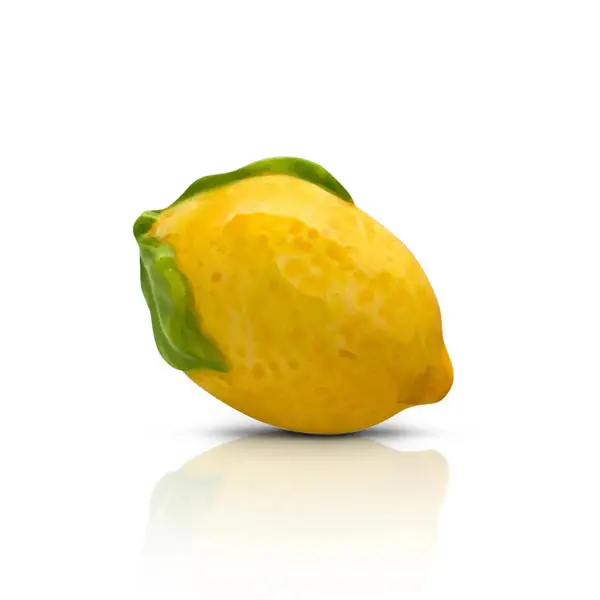 Nora Fleming Lemon Squeeze Kitchen Accessory 1