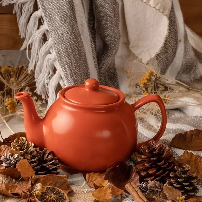 Price & Kensington 6-Cup Ceramic Teapot In Warm Burnt Orange 1