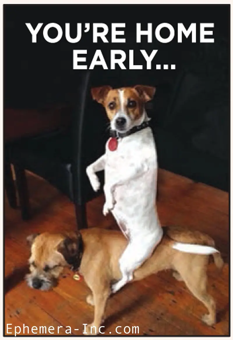 Surprise Encounter Magnet: 'You’Re Home Early…' 1