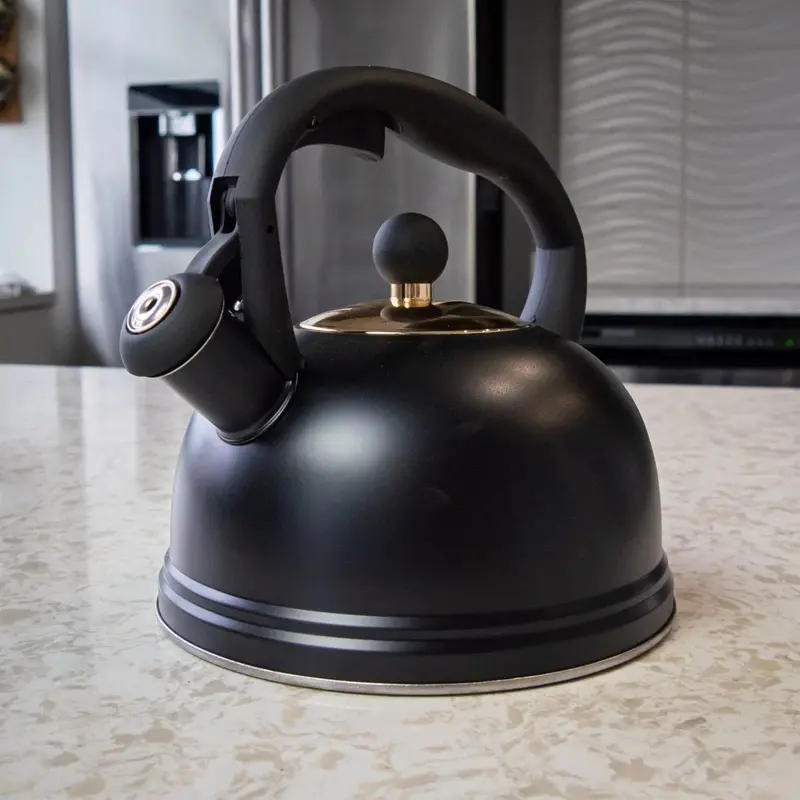 Typhoon Otto Stovetop Kettle – 2.5L, Matte Black Finish 1